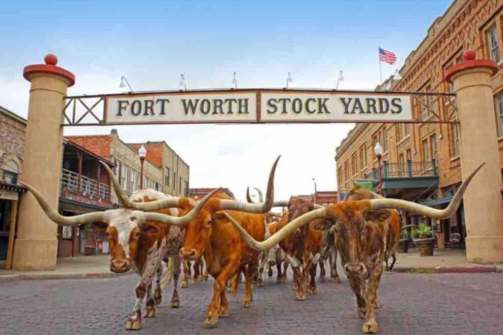 **Min Frm Dwntwn Fort Worth*Modern*Cozy*Townhome** Экстерьер фото